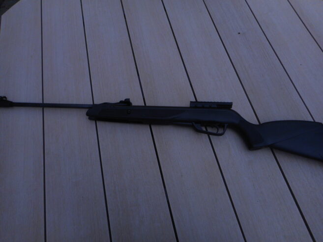 Z.G.A.N. Gamo Black Shadow in 4,5 mm