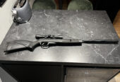 Gamo black bull