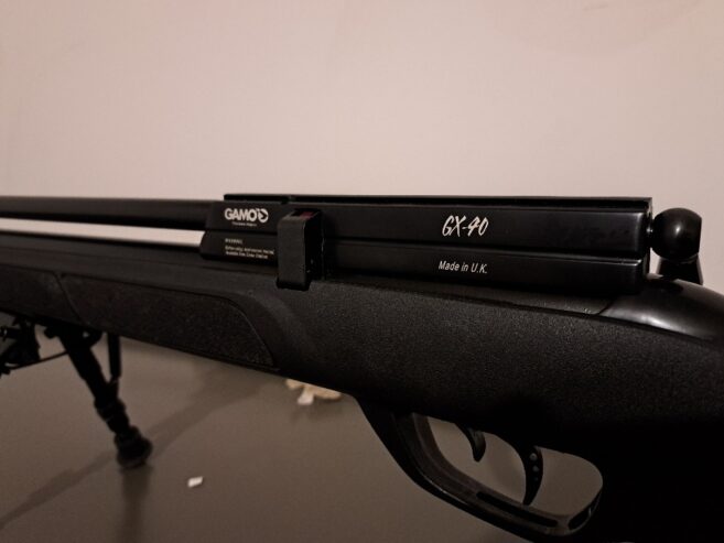 Gamo GX40 .22