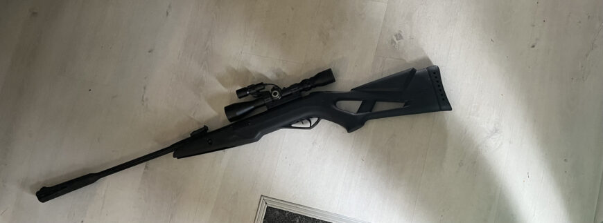 Gamo wisper igt system