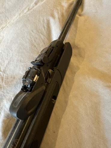 Gamo replay 10 magnum igt gen 2