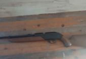 Crosman 760 Pumpmaster