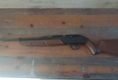 Crosman 760 Pumpmaster